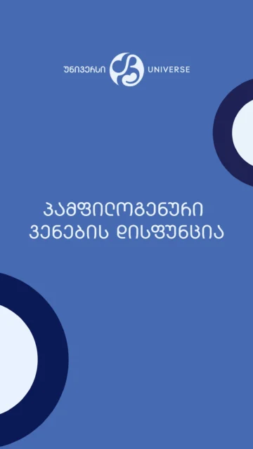 პამფილოგენური ვენების დისფუნცია