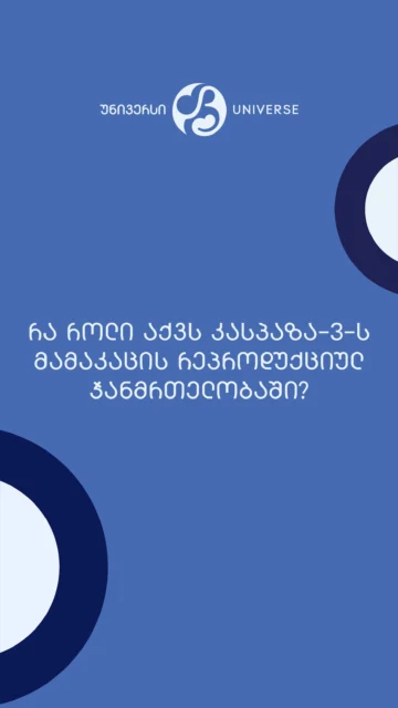🧬 რა როლი აქვს კასპაზა-3-ს მამაკაცის რეპროდუქციულ ჯანმრთელობაში?
